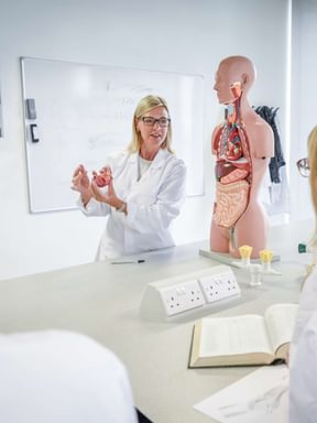 a professor leads a lecture on human natomy