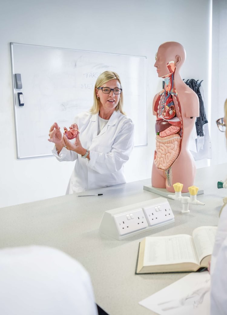 a professor leads a lecture on human natomy