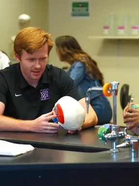 Students working with anatomical skull and brain models in a college science lab.