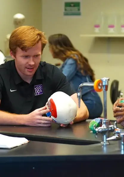 Students working with anatomical skull and brain models in a college science lab.