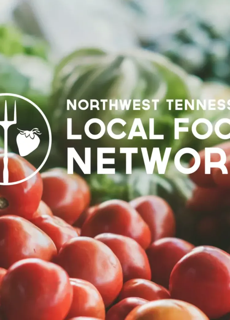 Cropped Unsplash2 01