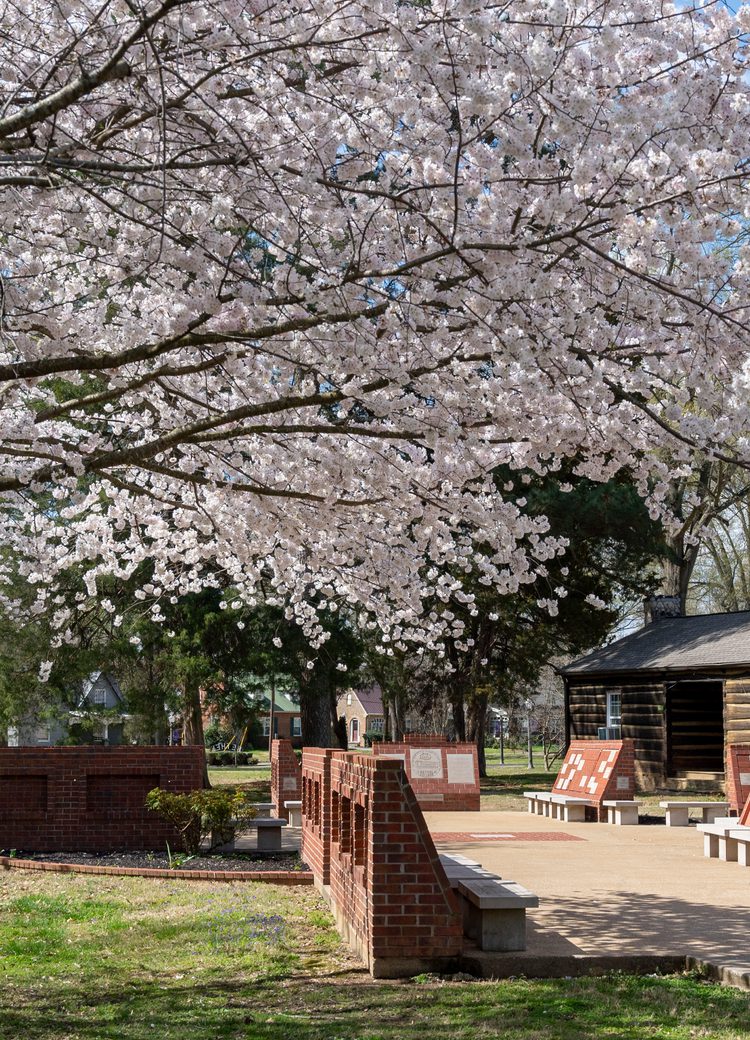 032421 AS Alumni Garden 3