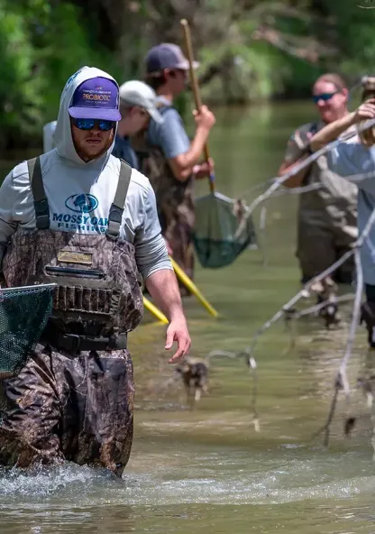 College students in waders wade through a creek using nets during a wildlife field study.