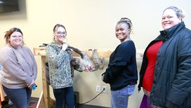 A photo of four women with a two toed sloth