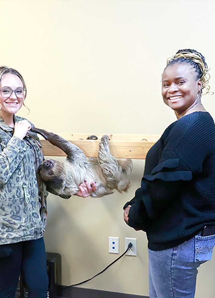 A photo of four women with a two toed sloth