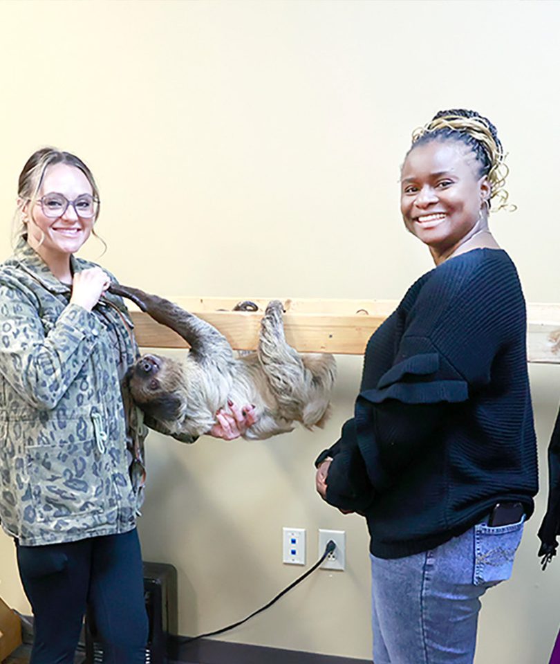 A photo of four women with a two toed sloth